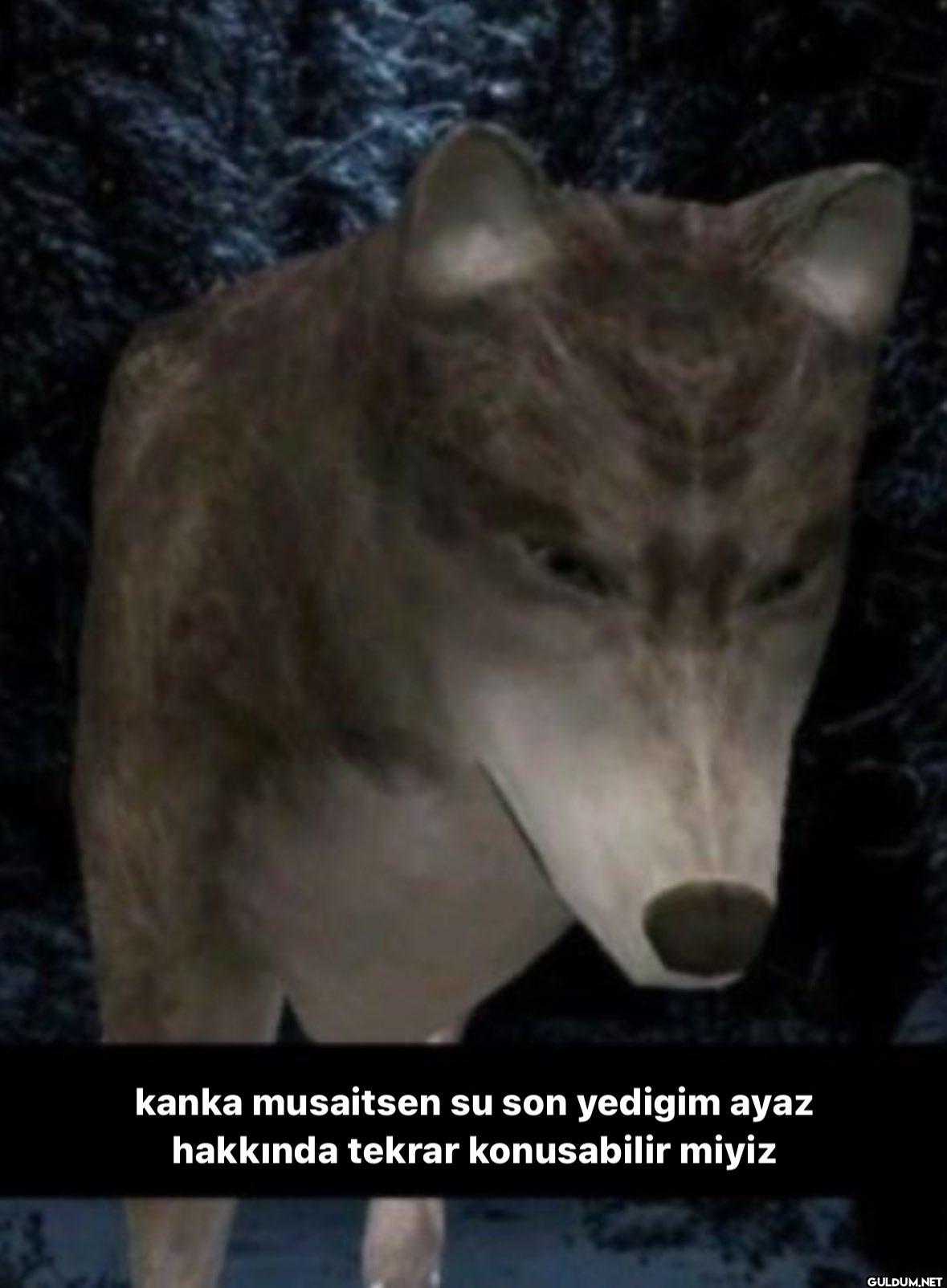 kanka musaitsen su son...