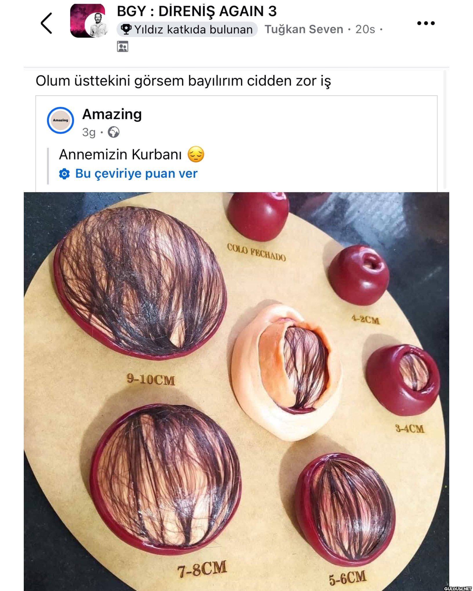 Pasta zannettim    BGY:...