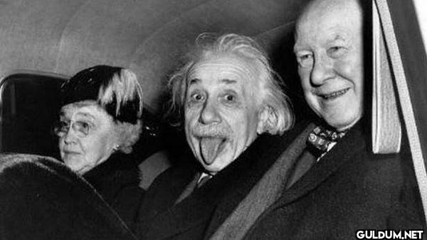 14. Albert Einstein bir...
