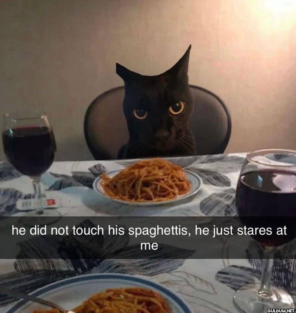 he did not touch his...