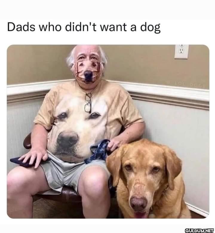 Dads who didn't want a dog