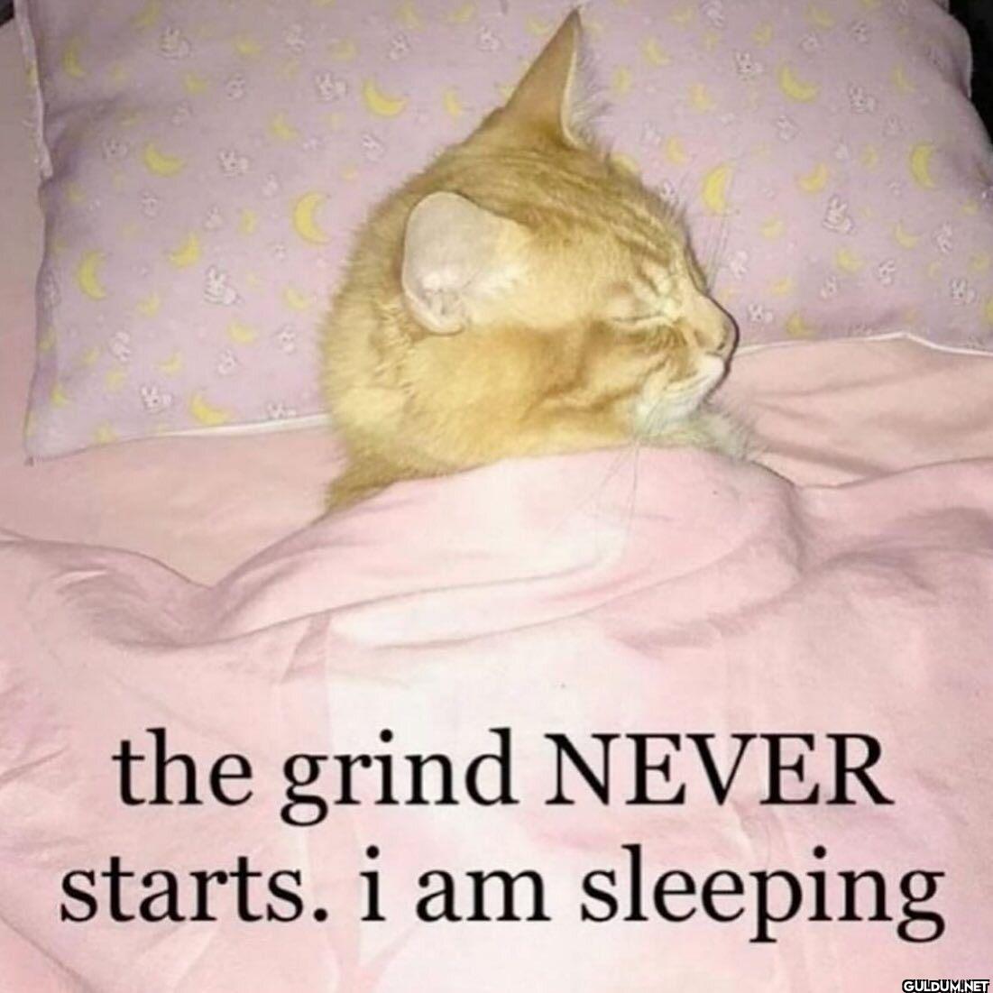 the grind NEVER starts. i...