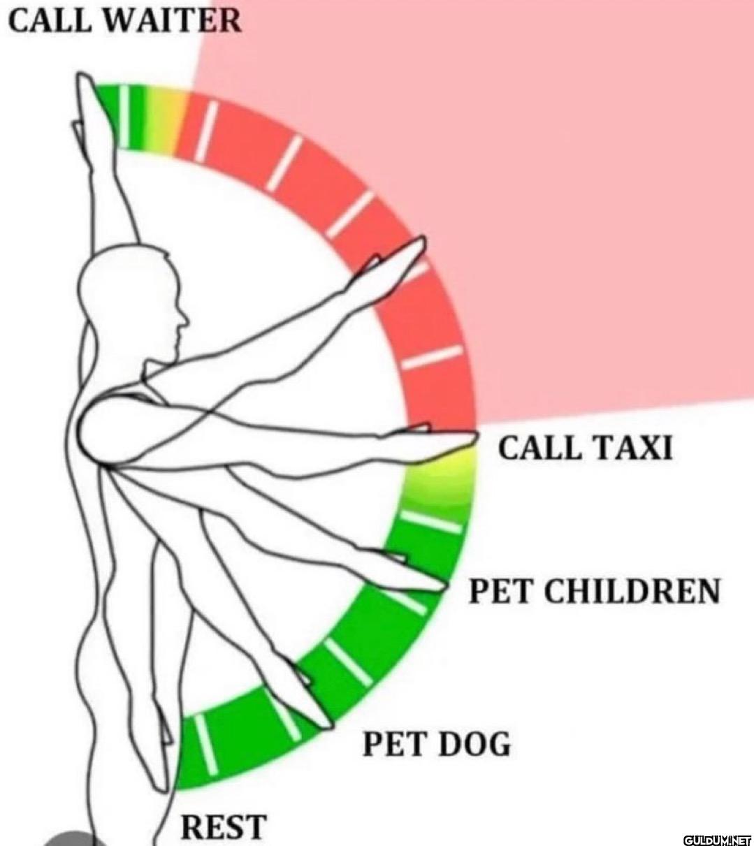 CALL WAITER CALL TAXI PET...