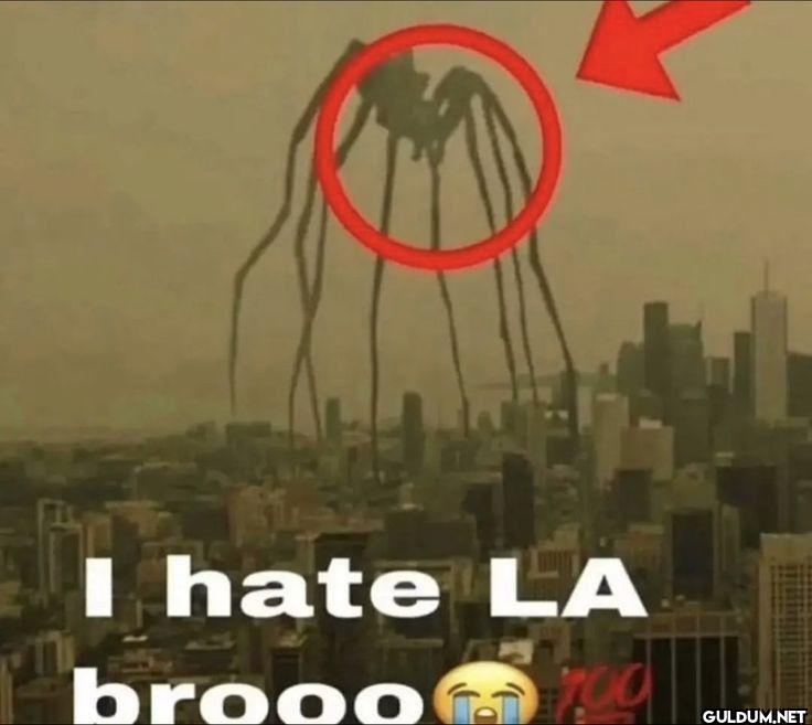 I hate LA brooo