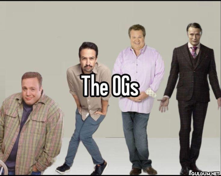 The Olis