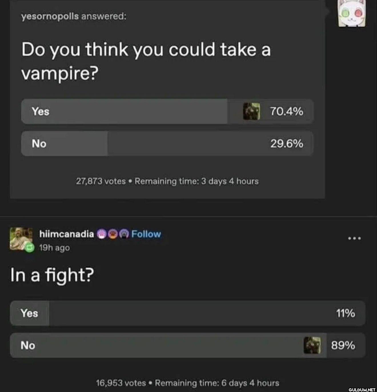 yesornopolls answered: Do...