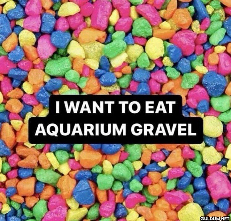 I WANT TO EAT AQUARIUM GRAVEL