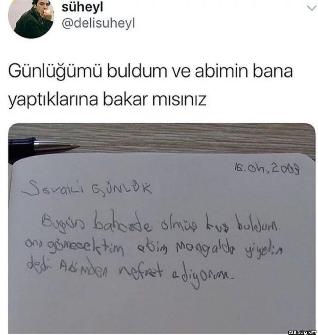 Günlüğümü buldum ve abimin...