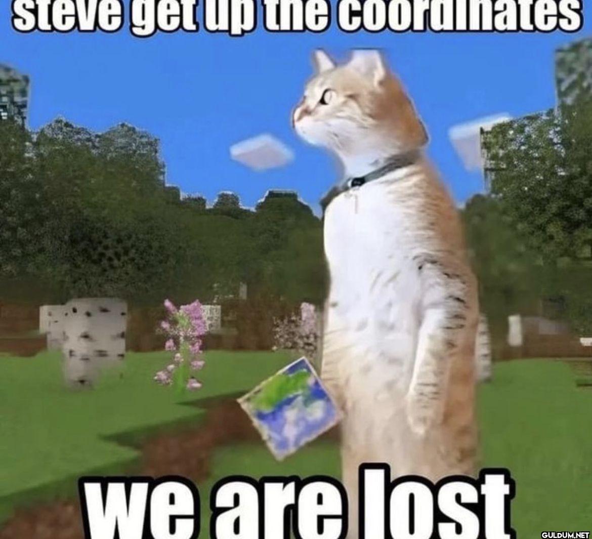 steve get up the...