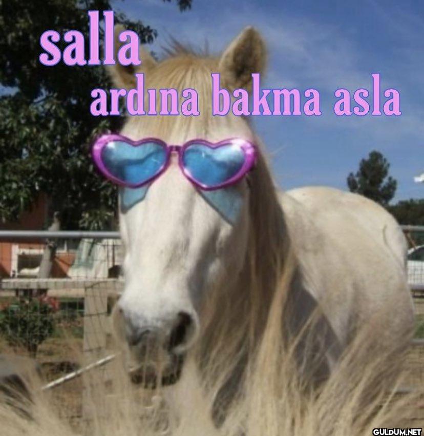 ruhi3169/twitter    salla...