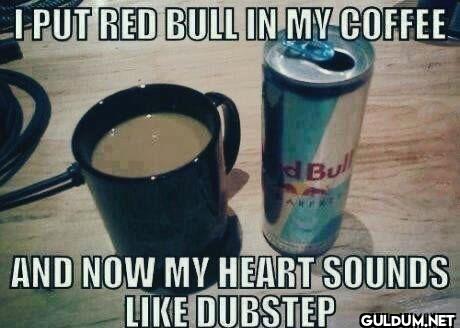 I PUT RED BULL IN MY...