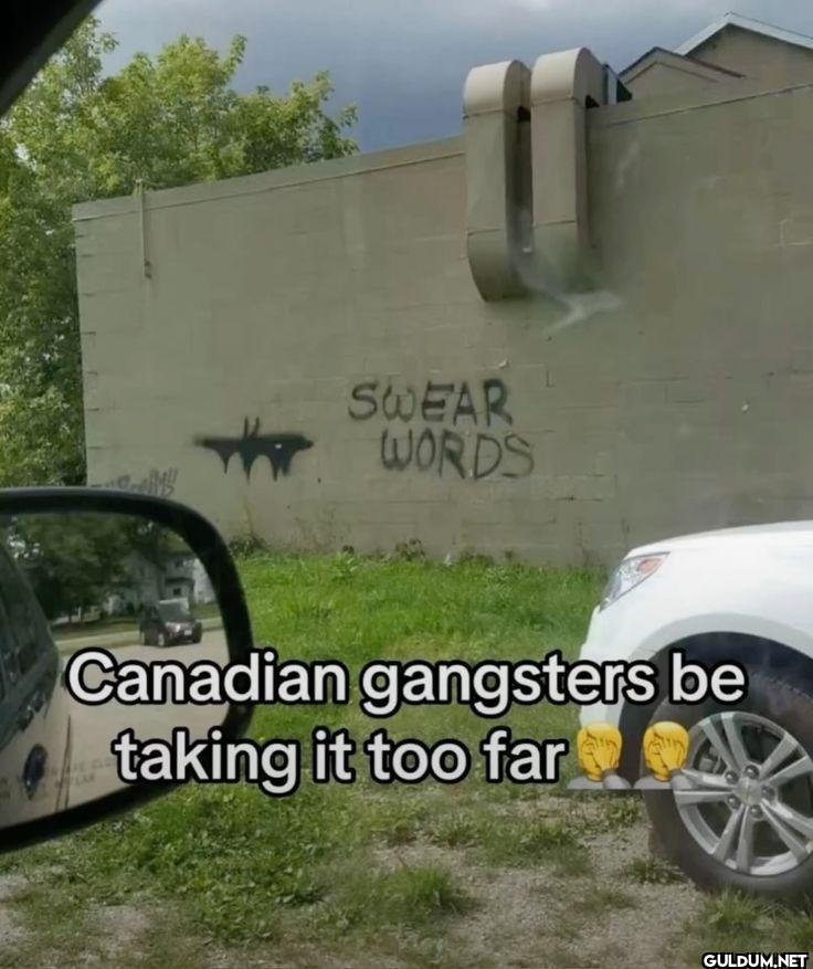 SWEAR WORDS Canadian...