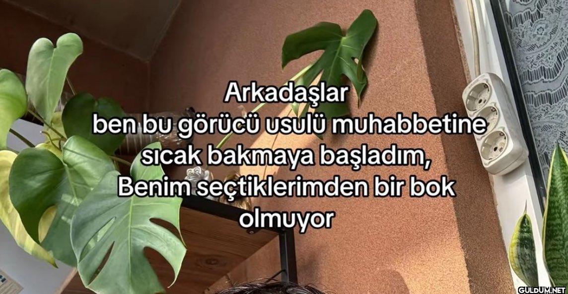 Arkadaşlar ben bu görücü...