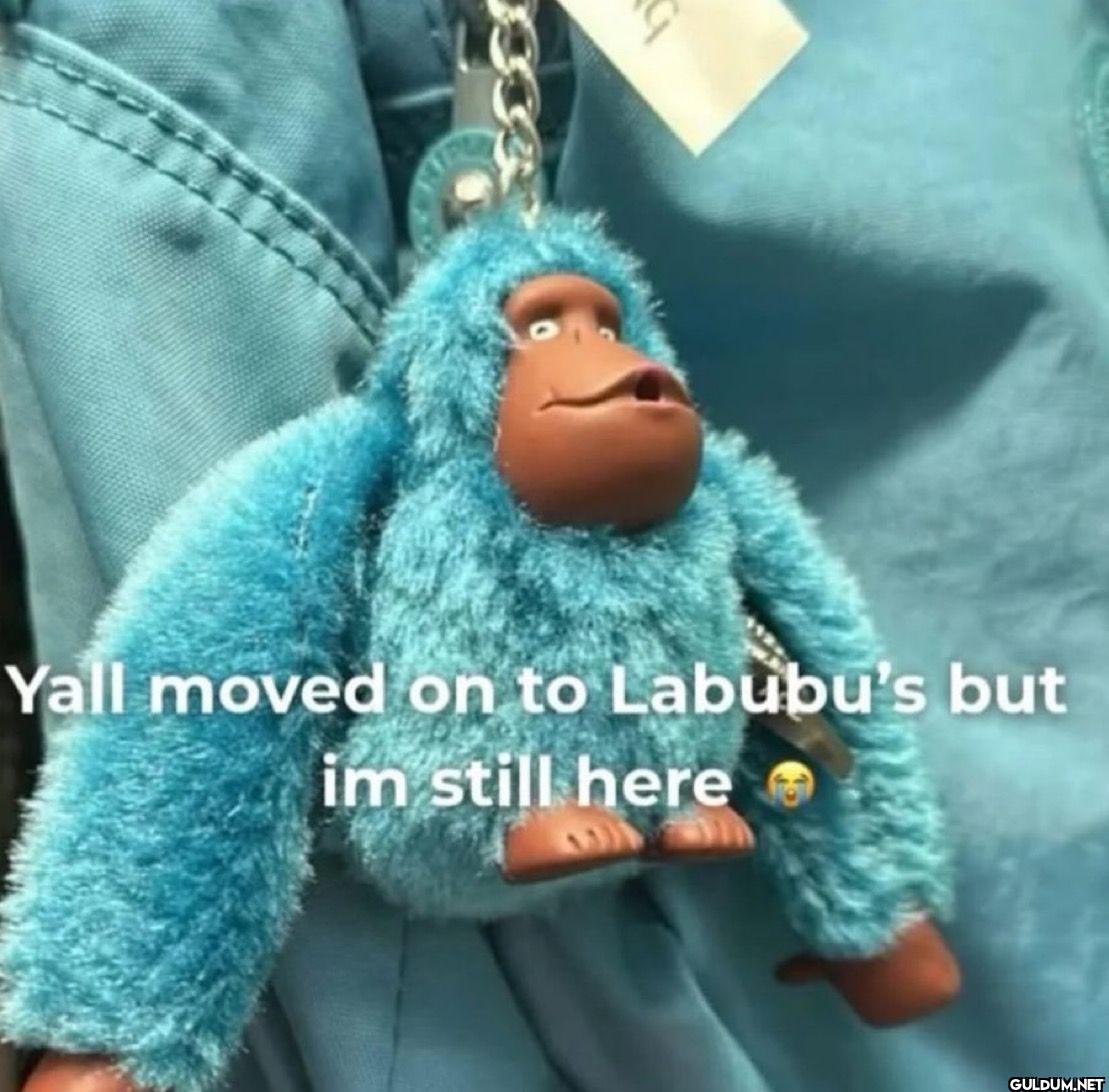 Yall moved on to Labubu's...