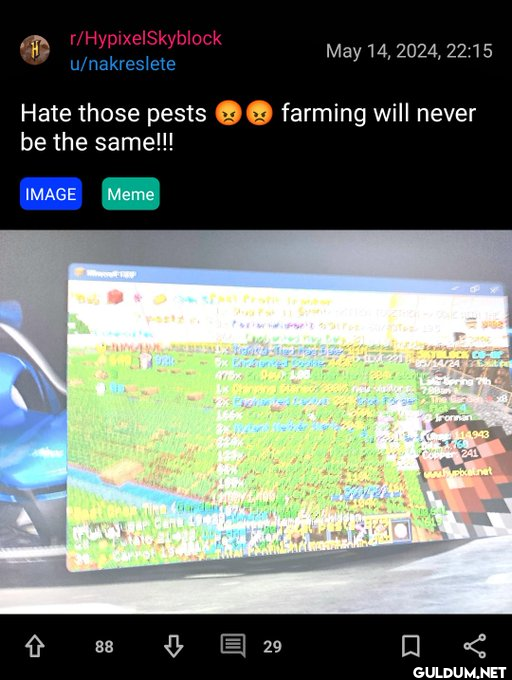 r/HypixelSkyblock...
