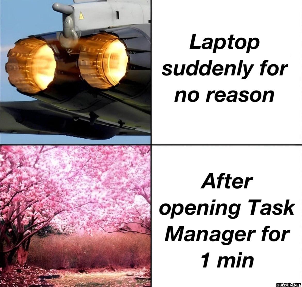 Laptop suddenly for no...