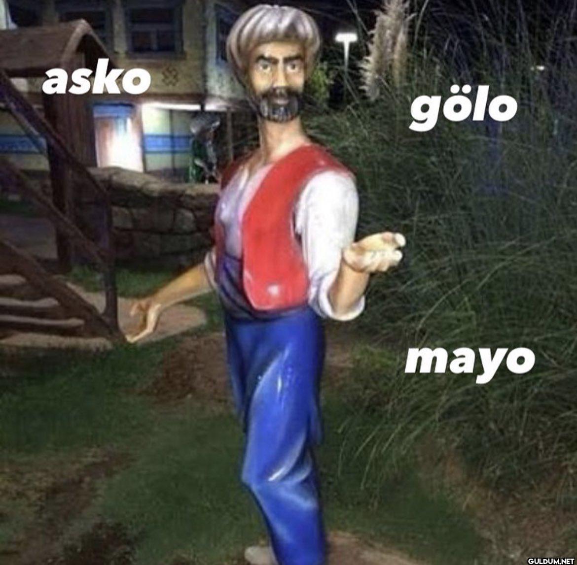 asko gölo mayo