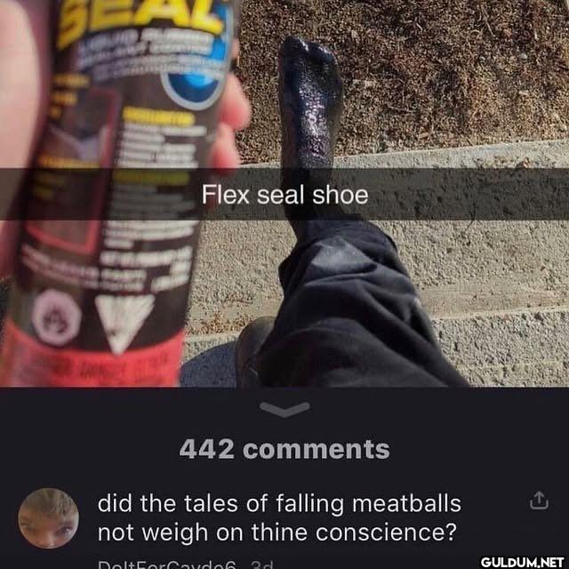 Flex seal shoe 442...