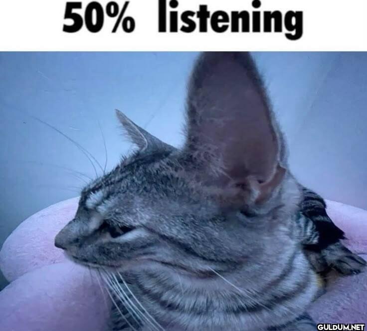 50% listening