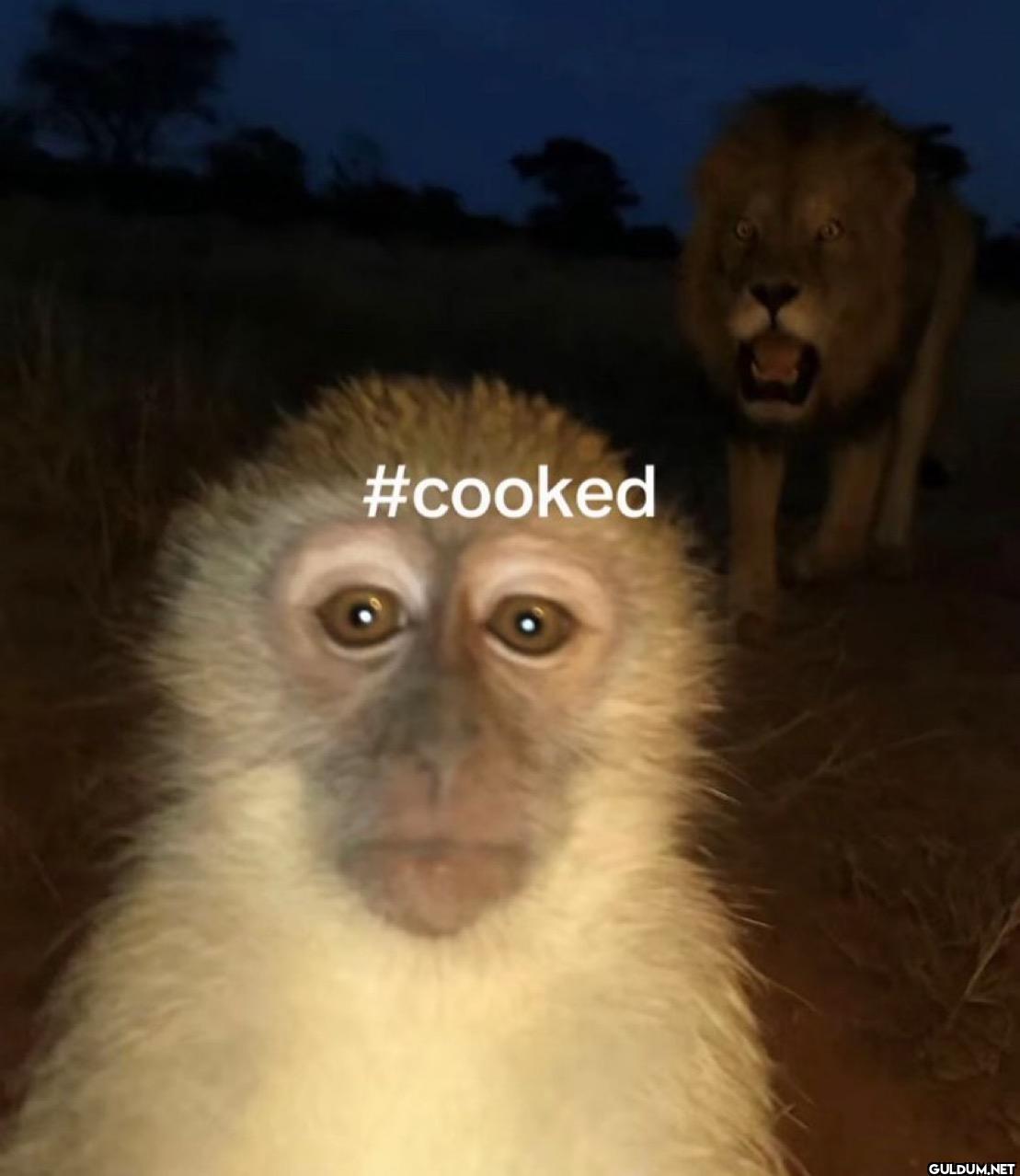 #cooked
