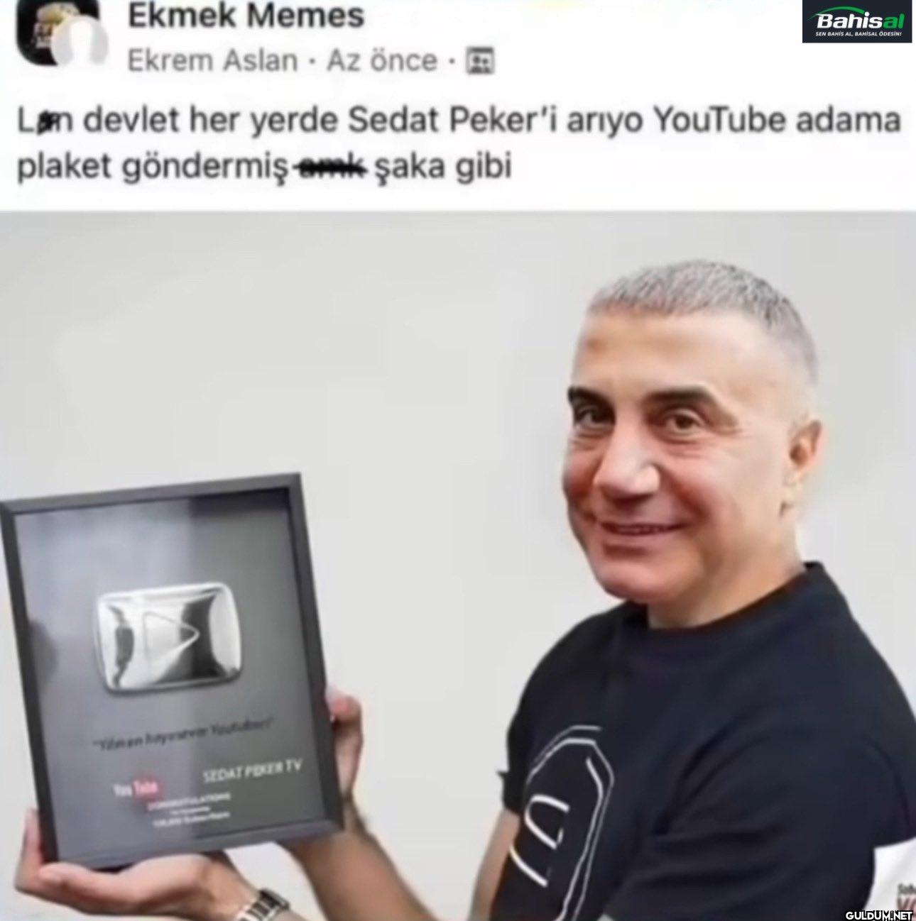 SHDKSJDJSJDNQHDWJFJWHF   ...