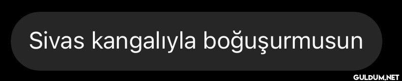 ilk mesaj nasıl olmalı:   ...