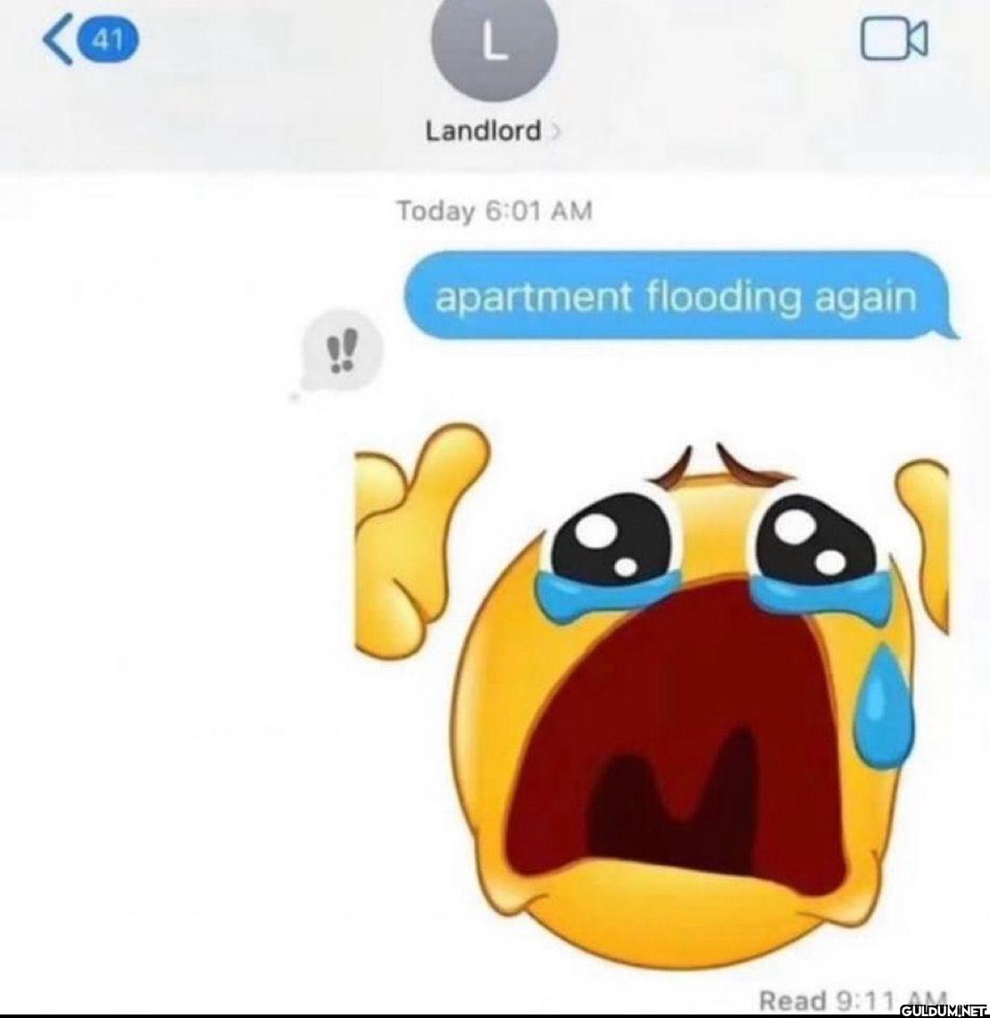 41 L Landlord > Today 6:01...
