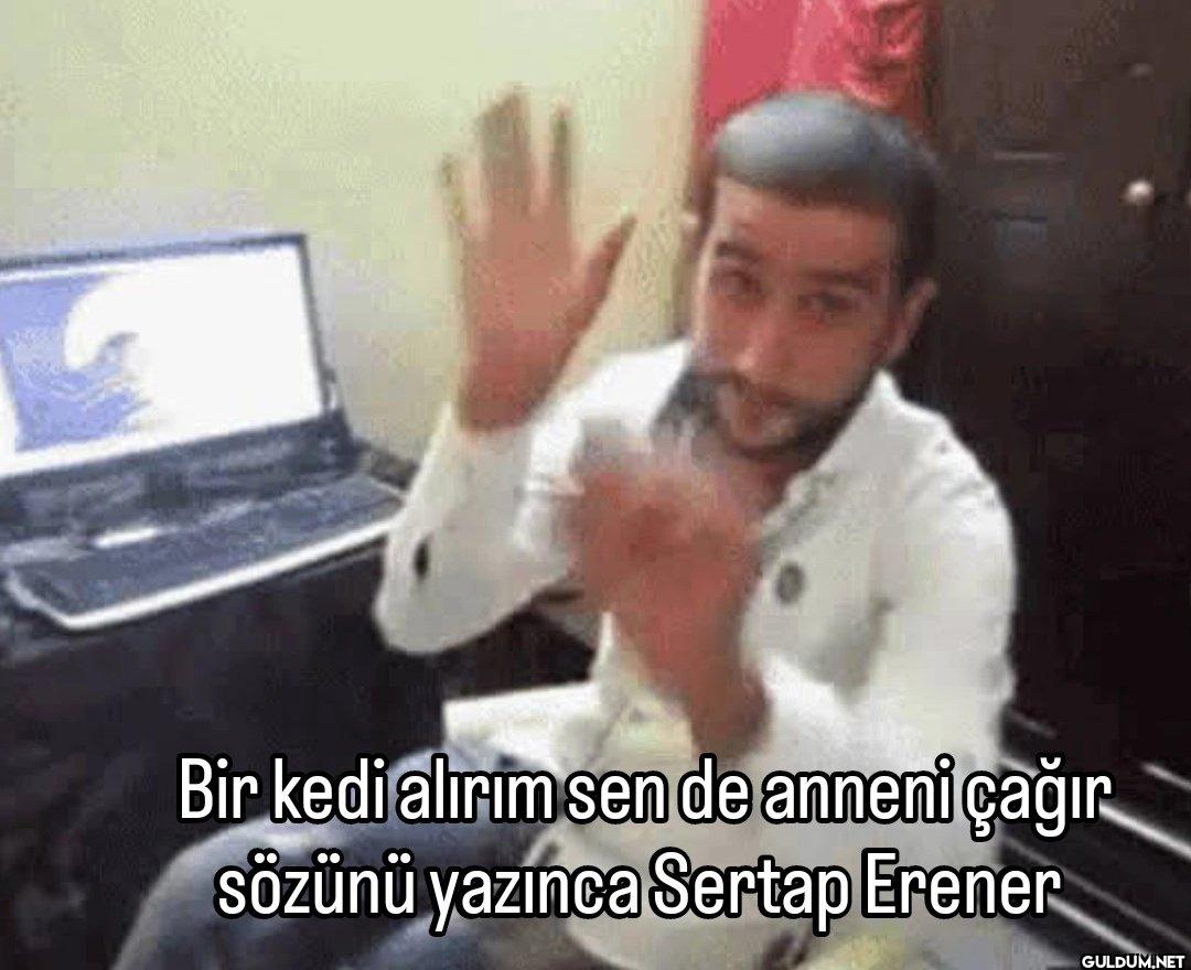 Bir kedi alirim sen de...