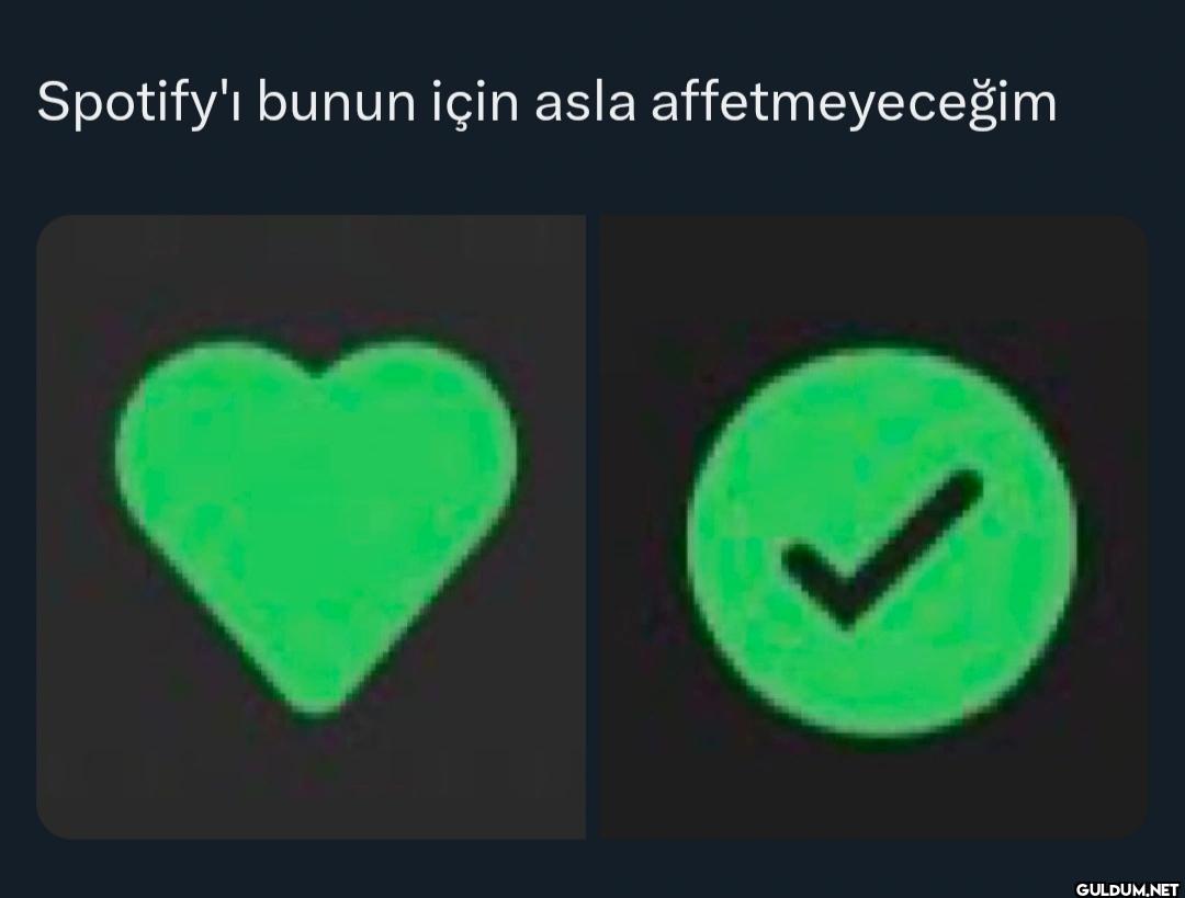 Spotify'ı bunun için asla...