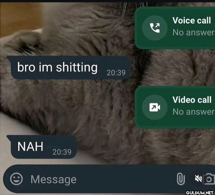 Voice call No answer bro...