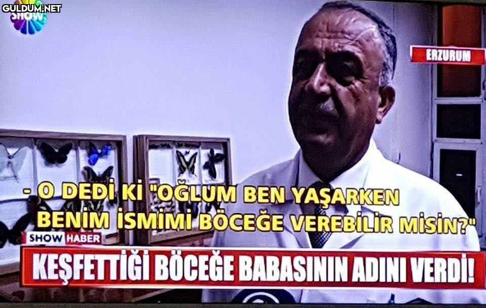 Gregor Samsa bir sabah...