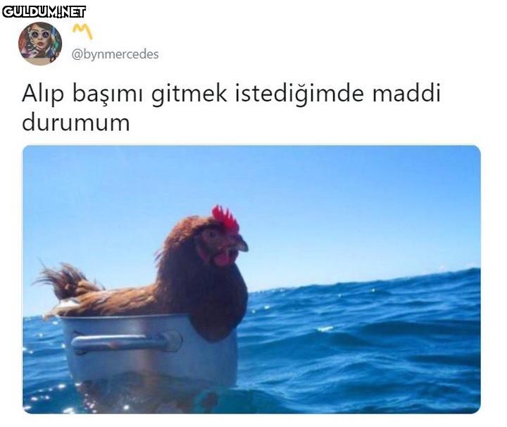 @bynmercedes Alıp başımı...