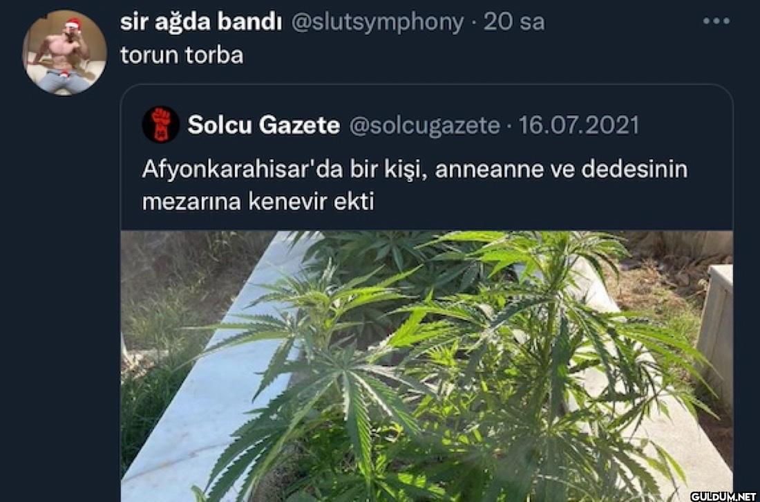 · 20 sa torun torba Solcu...