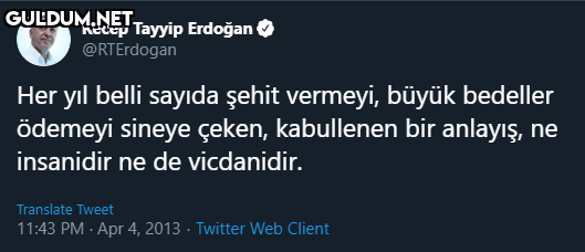 Recep Tayyip Erdoğan (...