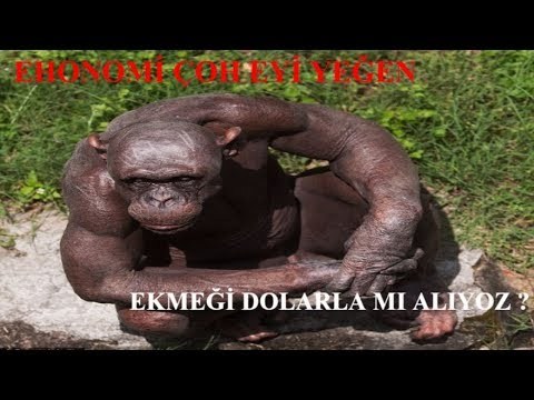 Bütün ehonomi çoğ eti...