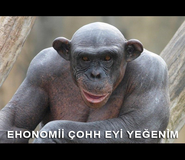 Bütün ehonomi çoğ eti...