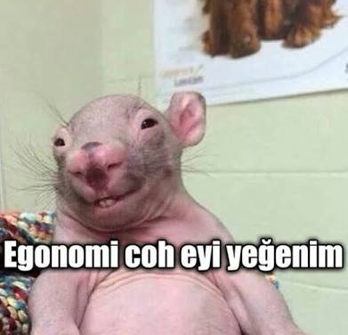 Bütün ehonomi çoğ eti...