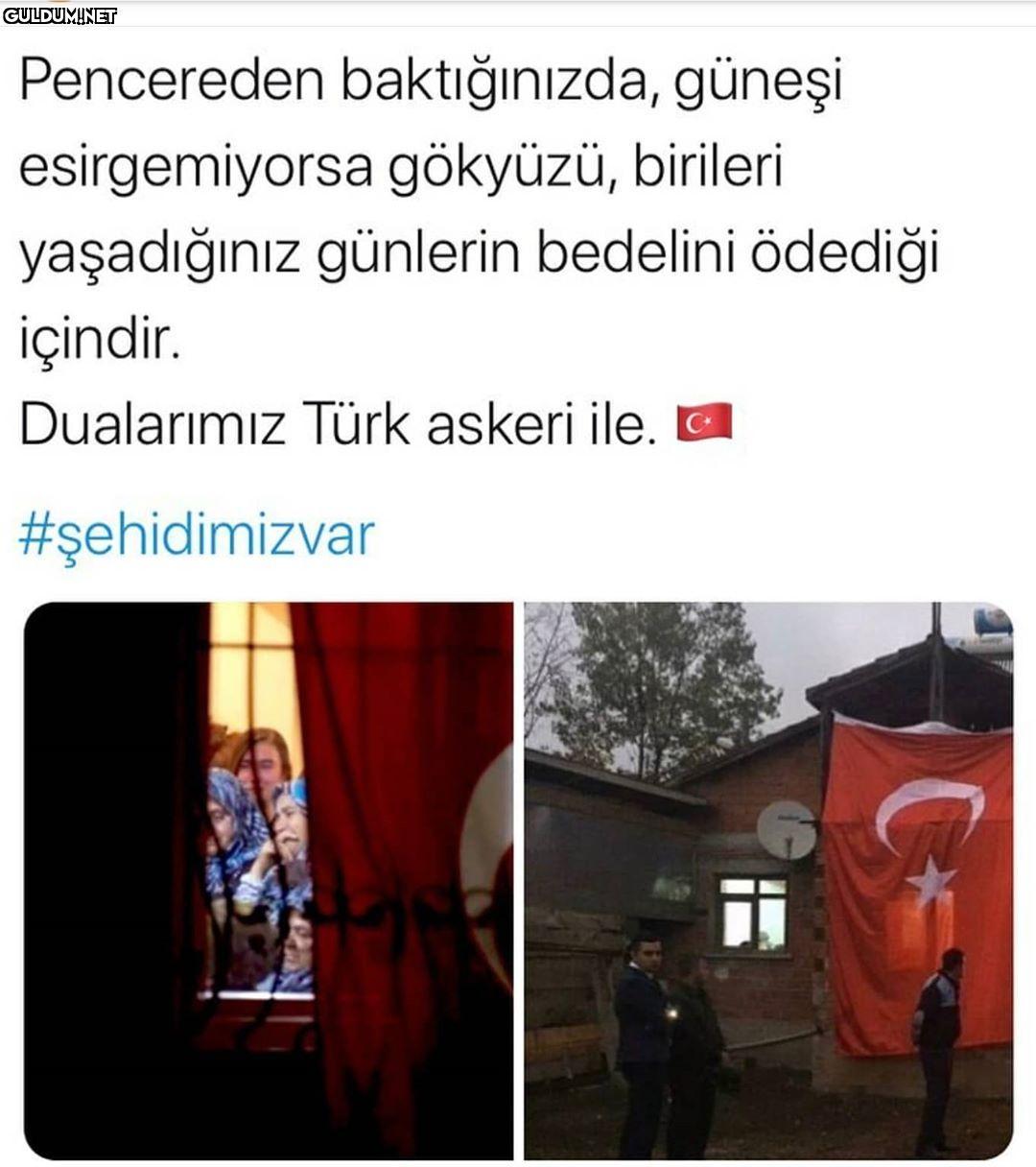 Pencereden baktığınızda,...