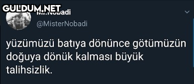 Mr.Nobadi @MisterNobadi...
