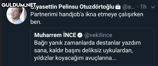 Gıyasettin Pelinsu...
