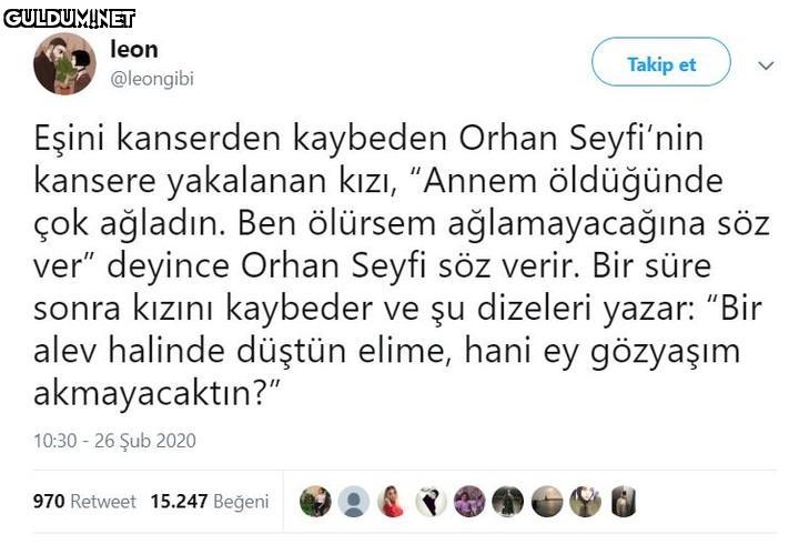 leon Takip et @leongibi...