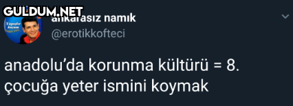 karal ankarasız namık...