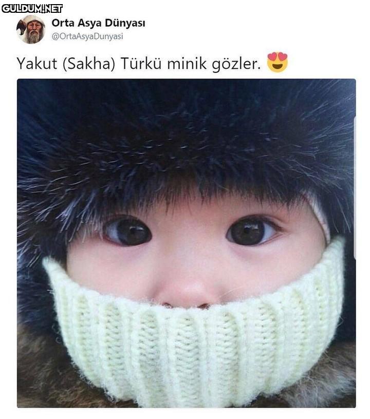 Orta Asya Dünyası...