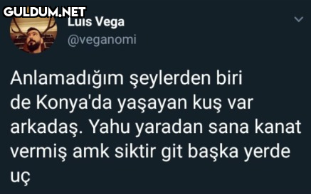 Luis Vega @veganomi...
