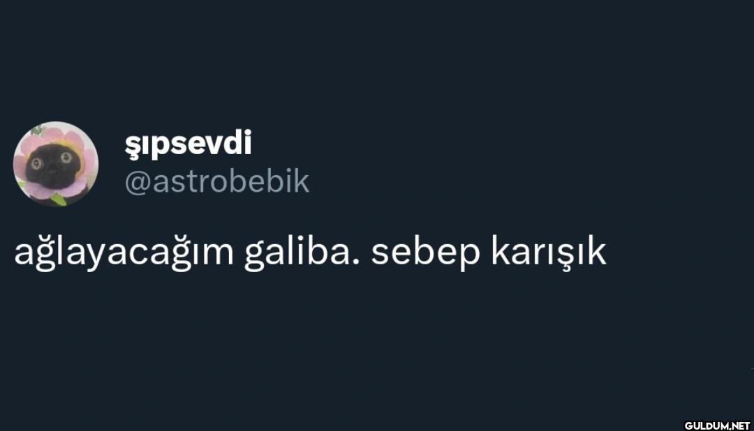 ağlayacağım galiba. sebep karışık