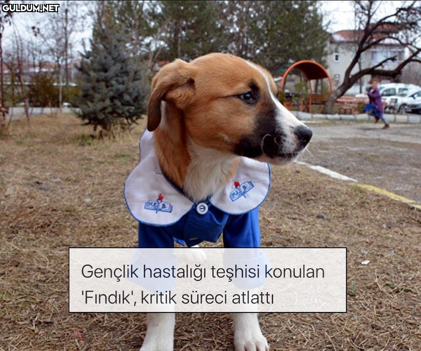 Biraz da mutlu edici...