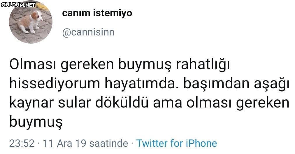 canım istemiyo @cannisinn...