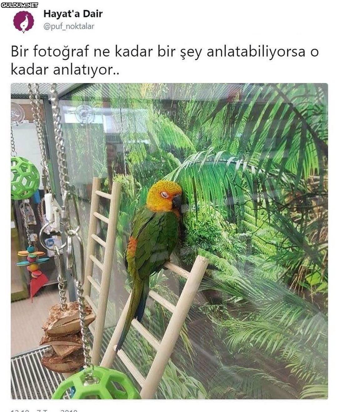 Popular post