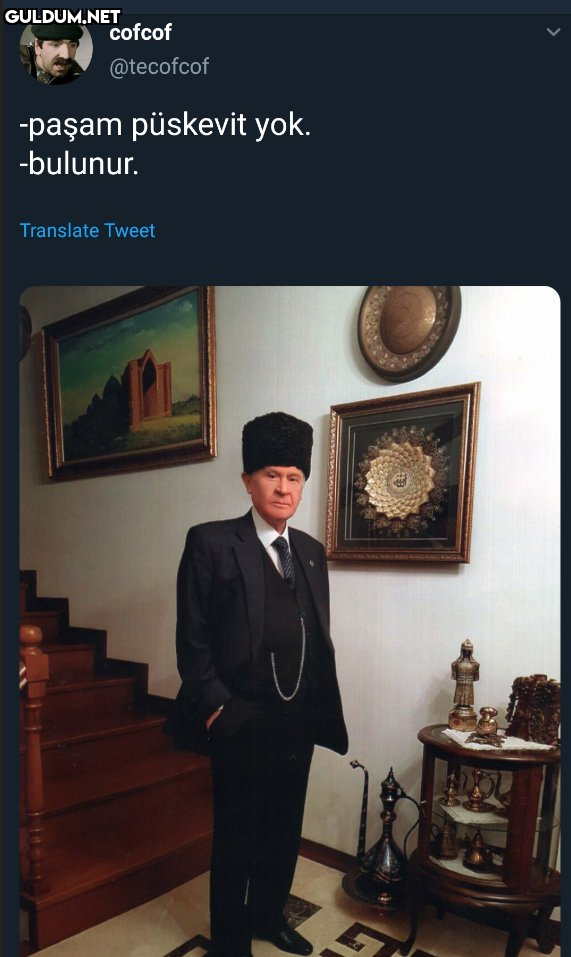 cofcof @tecofcof -paşam...
