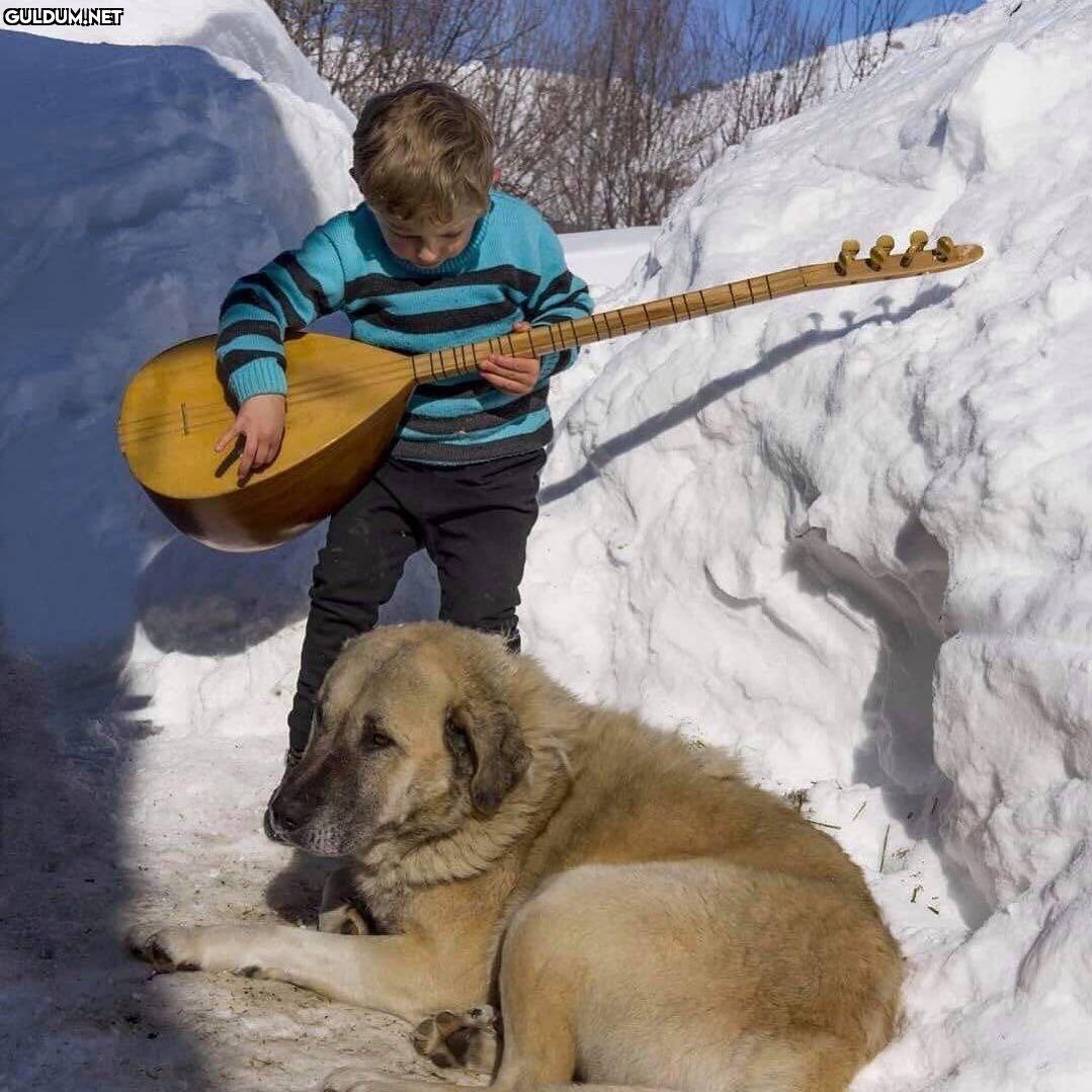 Dog dog diye nicesine sarıldım...